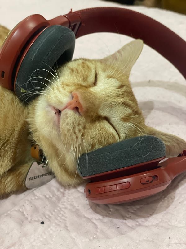 Orange tabby snoozes in headphones on a pink blanket