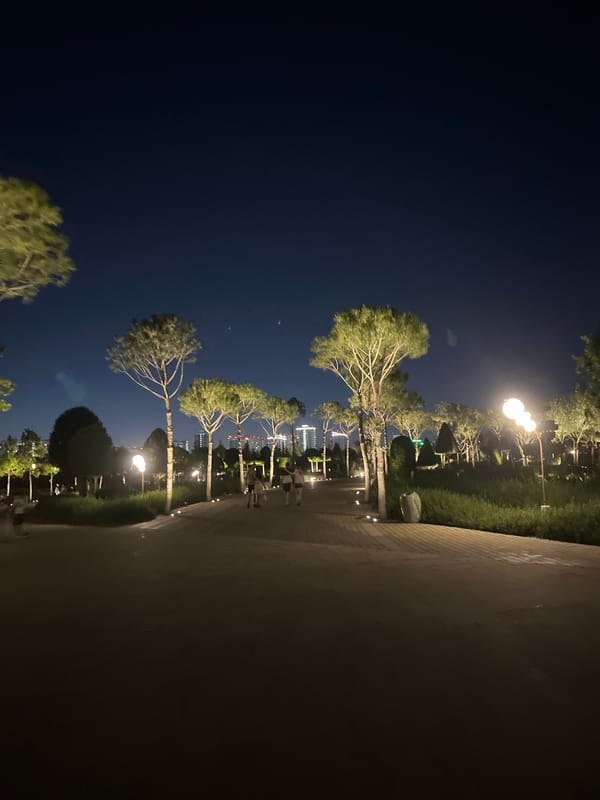Nighttime stroll through Galitsky Park's sculptural landscape, Krasnodar