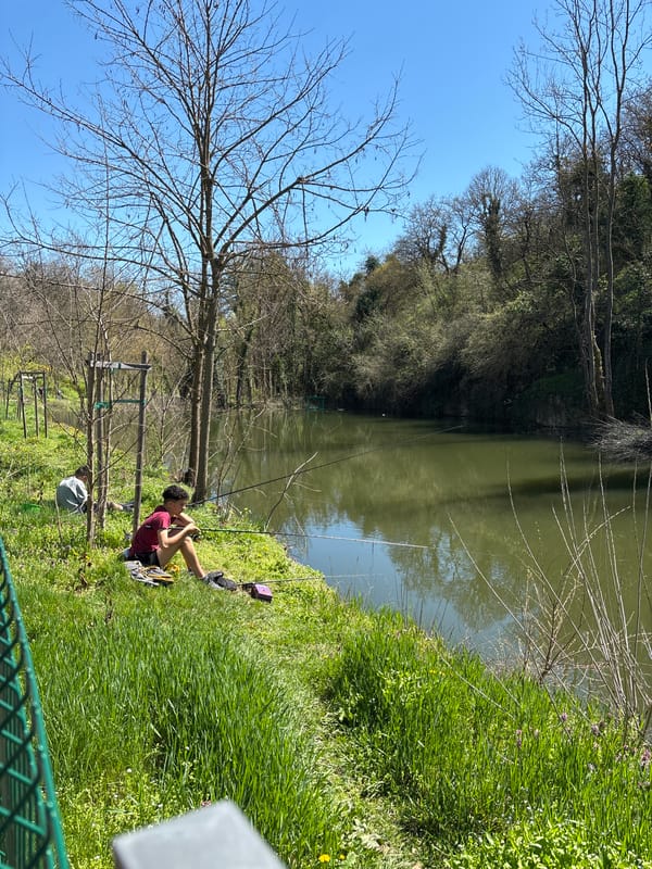 Person fishing at pond in Pleven, Bulgaria