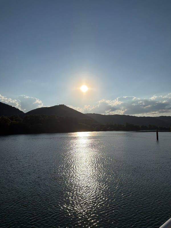 Swans on a sunlit river near Vion, France