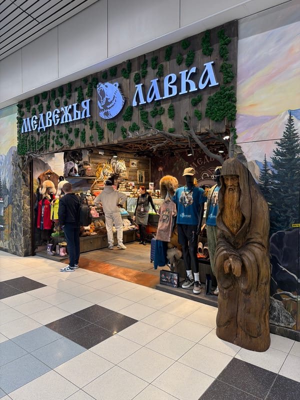 Woman documented at Domodedovo Airport during early morning hours