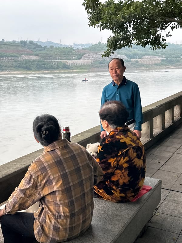 Group gathers with dog along riverbank in Jiangjin, China