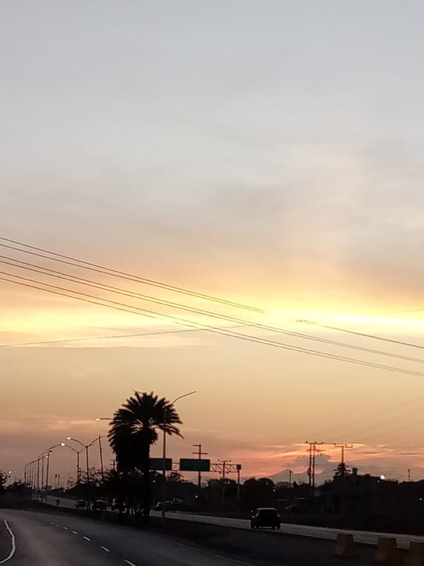 Evening moments captured in El Dátil: twilight highway, blue-eyed cat