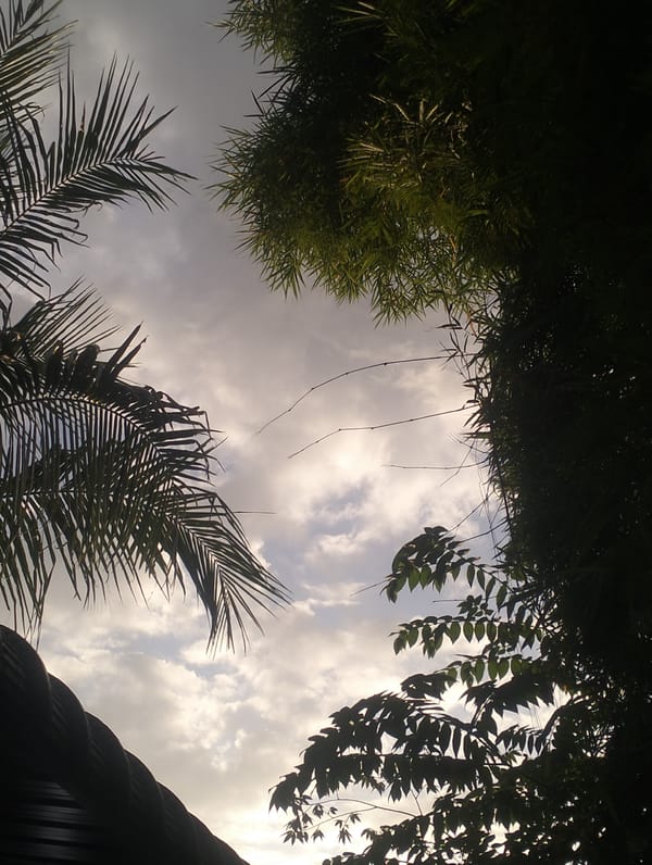 Daily life documented across Lhokseumawe during morning hours