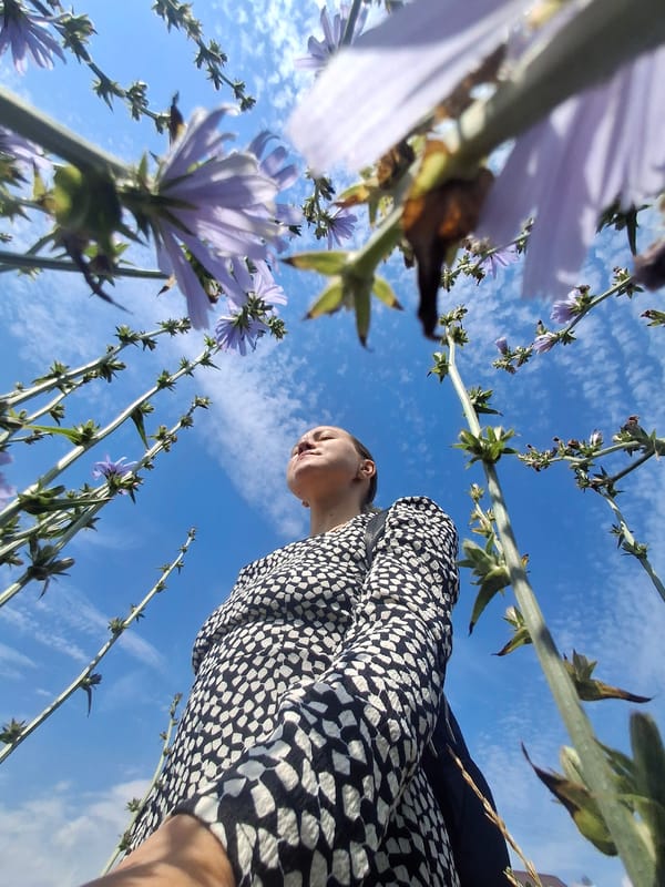 Summer morning in Chaikovsky: wildflowers, open sky, breakfast