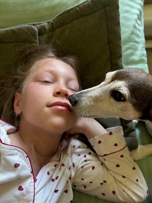 Child rests with dog on green pillow in Markovo