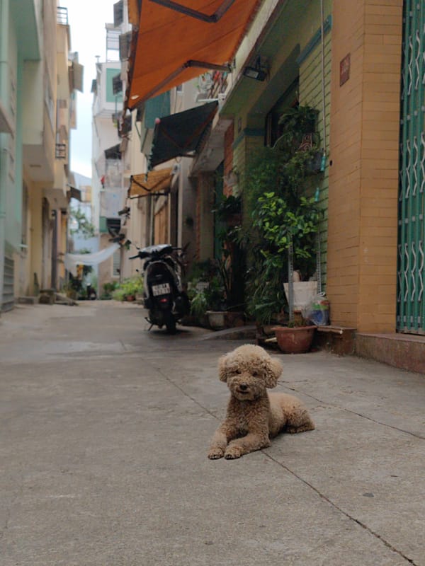 Morning walk captures everyday street life in Da Lat Vietnam