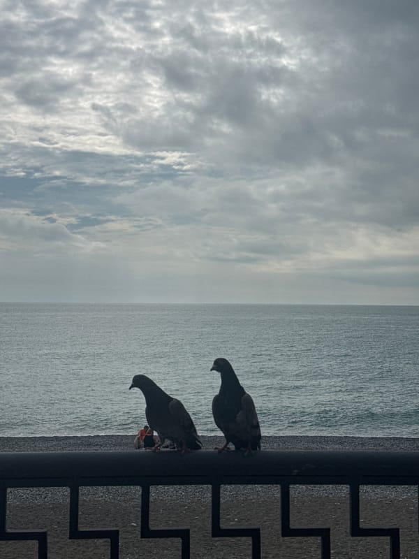 Casual scenes documented across seaside Gagra, Abkhazia