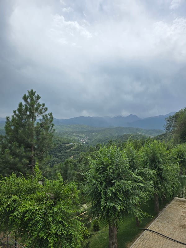 Overcast mountain panorama with pine tree near Almaty