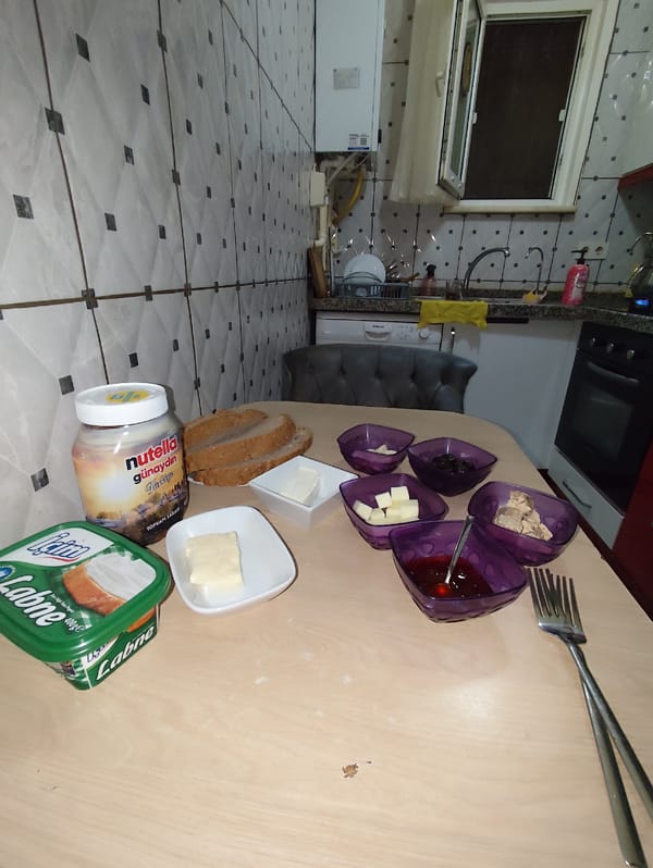White cat's morning routine documented in Sarıyer home