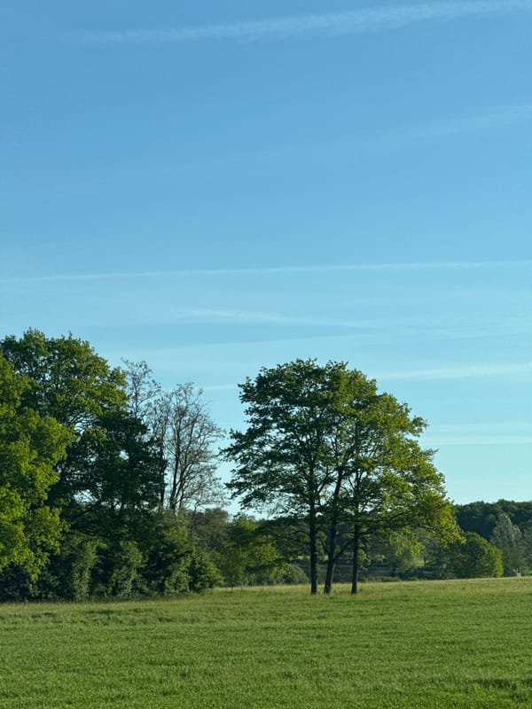 Clear blue skies observed over Sarre-Union landscape