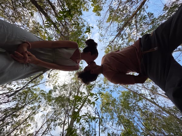 Couple photographed kissing in wooded area of Mui Ne, Vietnam
