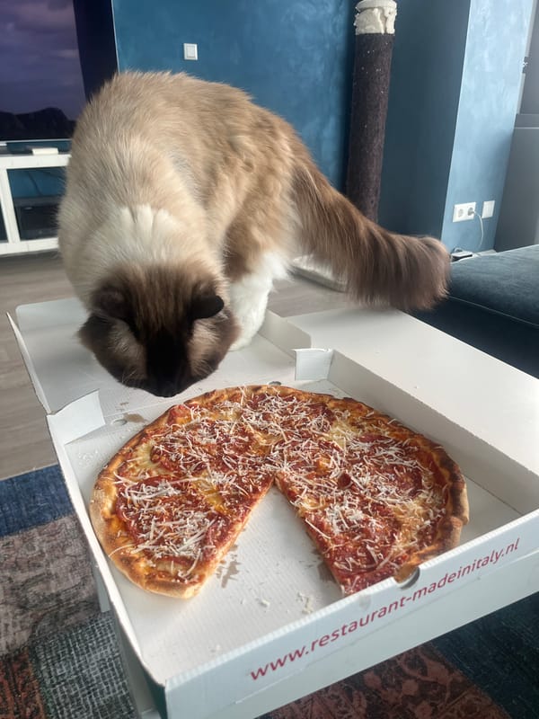 Cat Investigates Partially Eaten Pizza in Delivery Box
