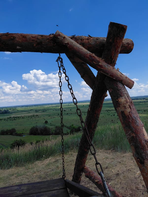 Rural Ukraine hillside picnic area documented with wildflowers, flag