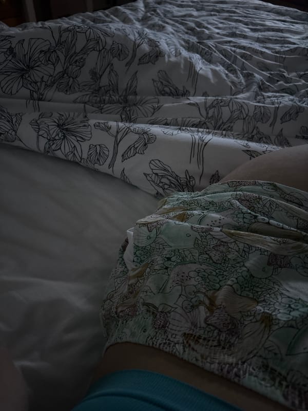 Evening domestic moments documented in Kyustendil bedroom and surroundings