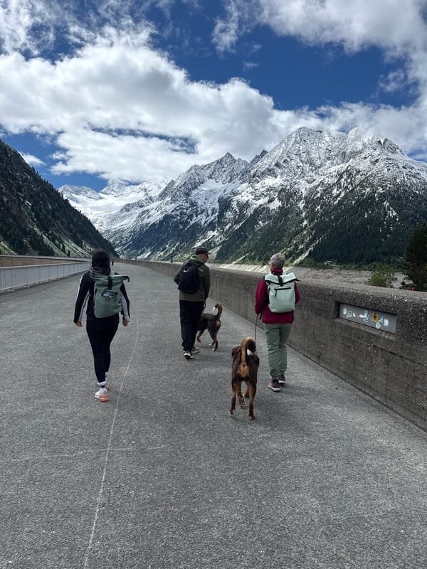 Morning Alpine Activities Documented Around Finkenberg Austria