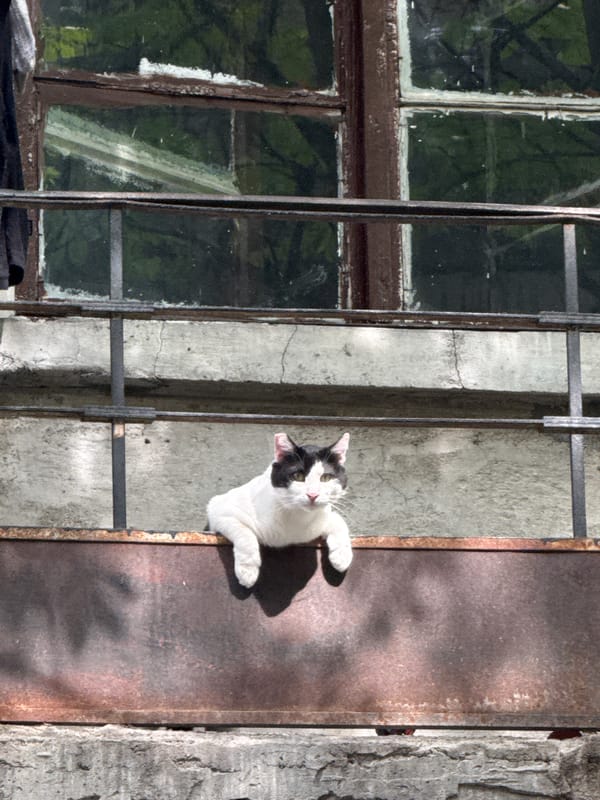 Urban photography walk captures Sofia street scenes and decorations