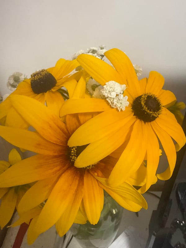 Sunflowers in a vase and a scarf-wearing teddy bear