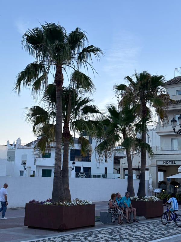 Nerja streetside: flowers, palms, and flags on a summer evening