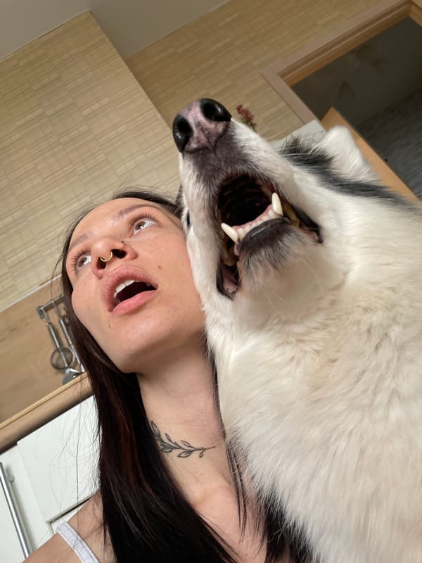 Woman's daily life with pets documented in Izhevsk home