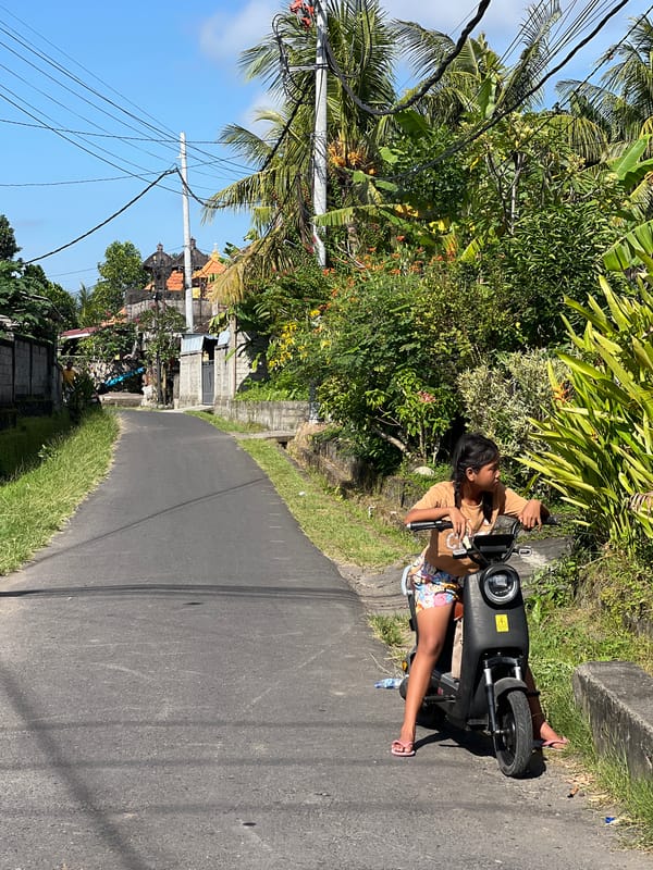 Morning scenes from Ubud District captured by witness