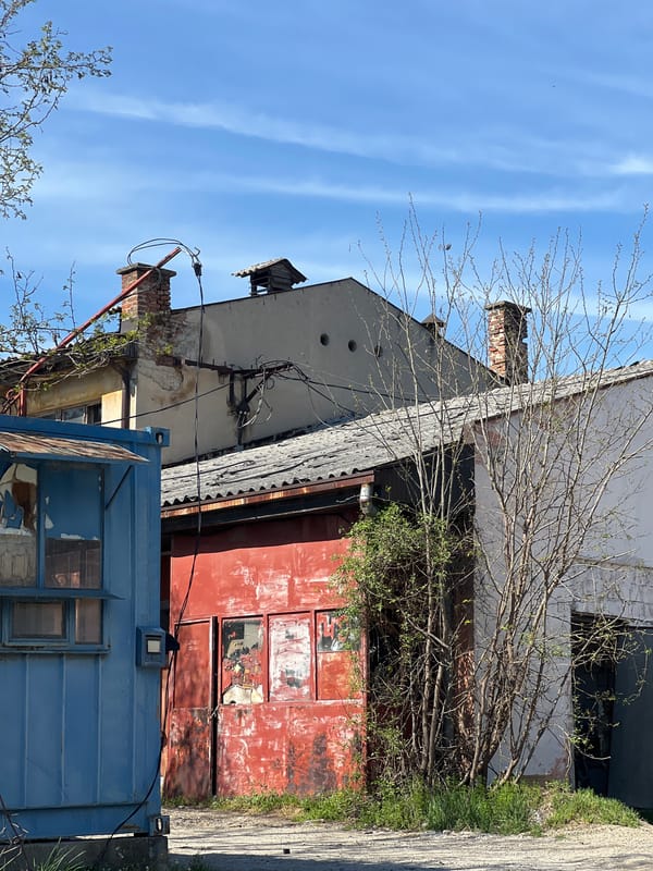 Dilapidated buildings documented in Palilula municipality, Serbia