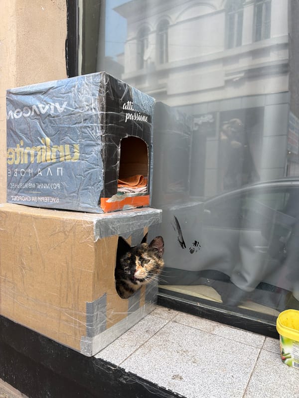 Everyday moments documented across Plovdiv in six-minute span