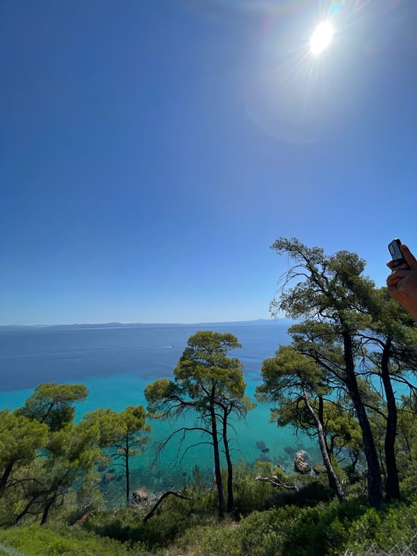 Pine-framed coastal overlook on Kassandra peninsula, Greece