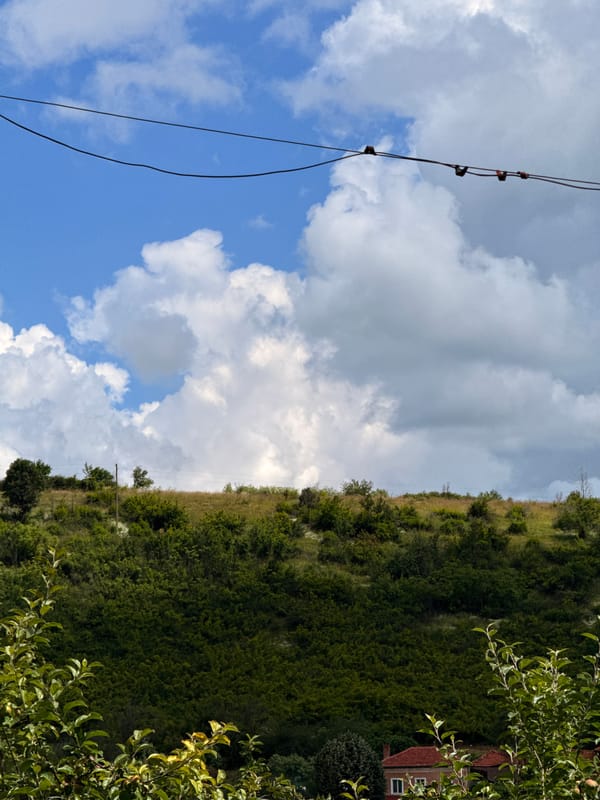 Tree-covered hillside landscape in Slavyani, Bulgaria