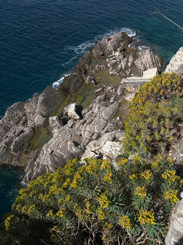 Aerial view captures Montenegro coastal landscape at Kaluđerac
