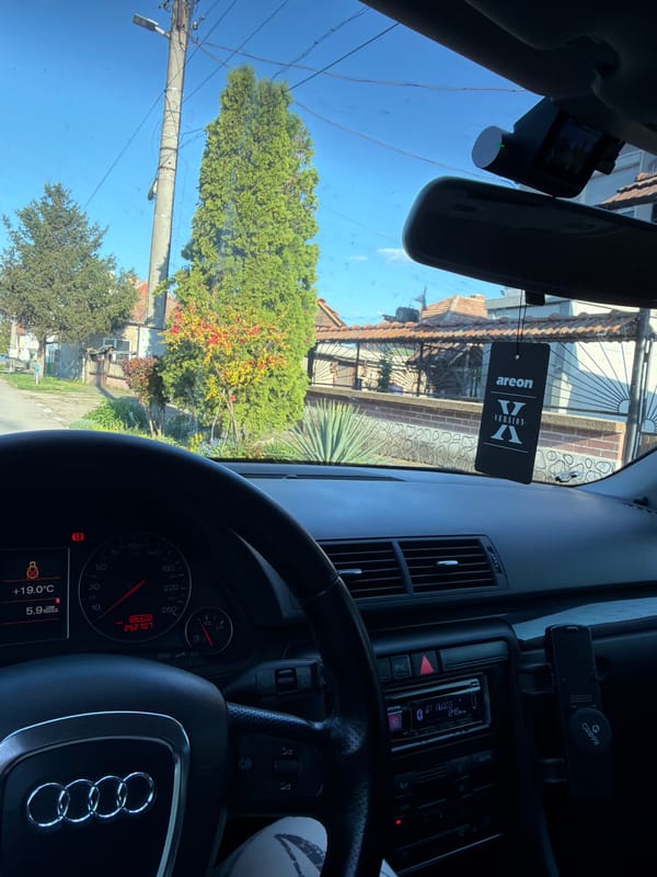 Driver's view captured in Dolna Mitropolia residential area