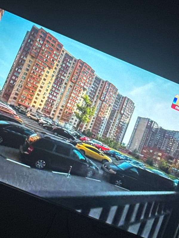 Casual domestic evening in Saratov: cats, food, and everyday moments