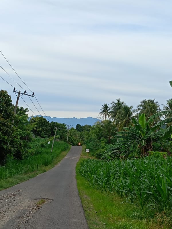 Rural road traffic observed in Cotjrat, Indonesia agricultural area