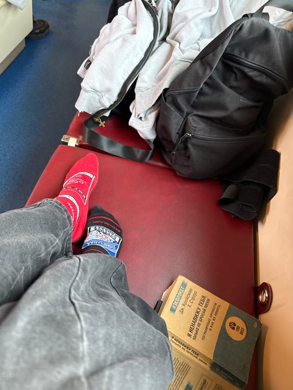 Train passenger items captured in Borovyonka carriage