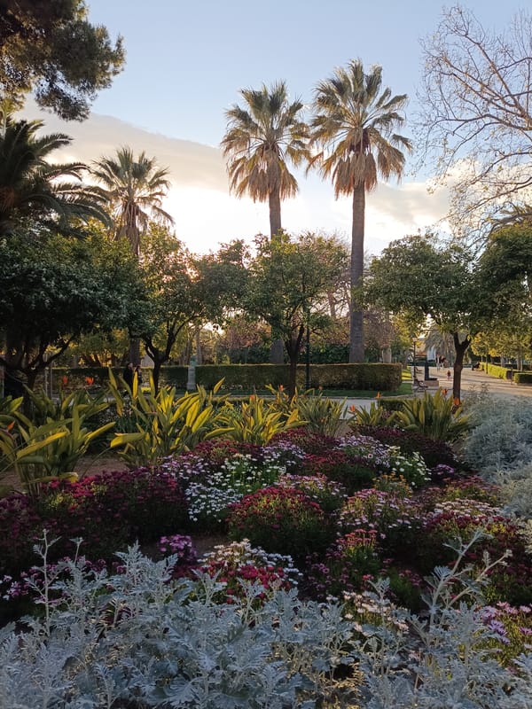 Valencia park visitors document gardens and walkways