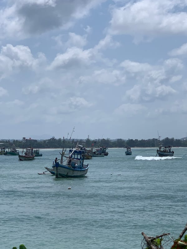 Colorful fishing boats along Sri Lanka's southern shore