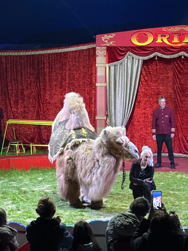 Circus performance documented in Stara Zagora, Bulgaria