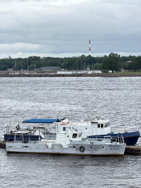 Krestovsky Island waterfront on a grey Saint Petersburg morning