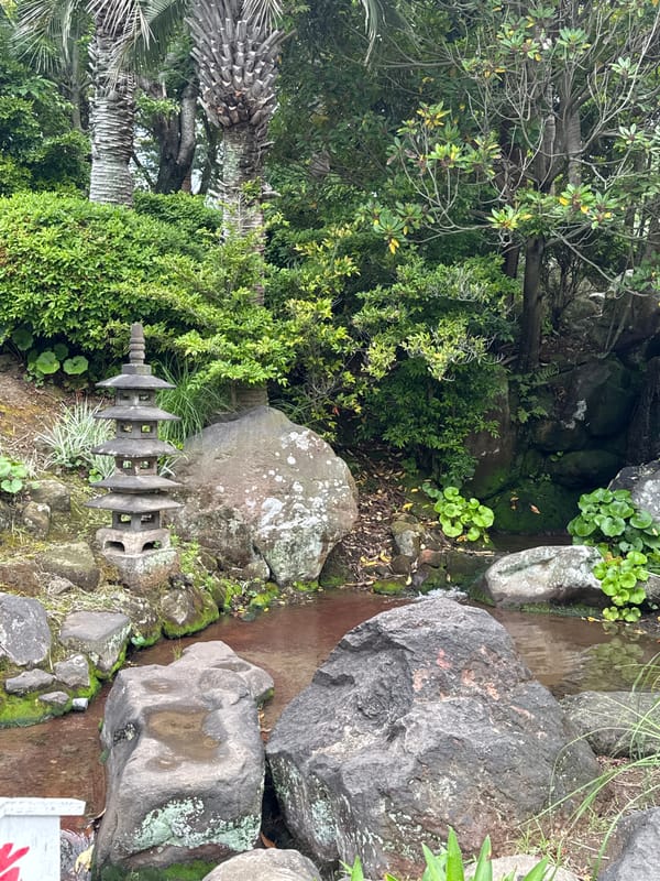 Tourist visits Beppu hot springs and gardens in early morning