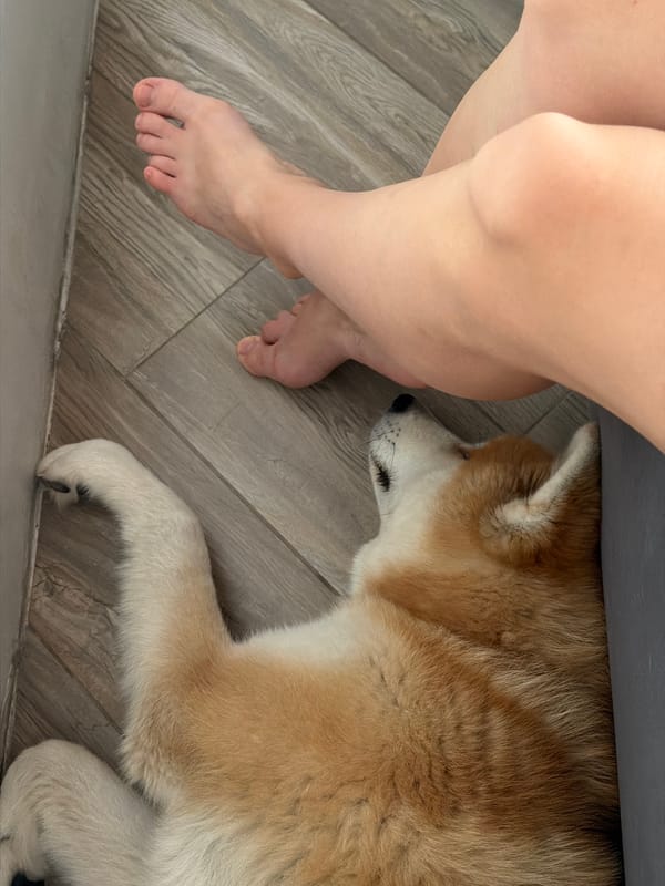 Late-night home routine in Chaikovsky, cat and all