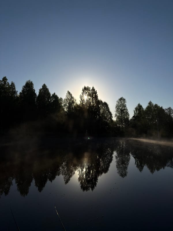 Early morning fishing session yields catches in Belaya Gora