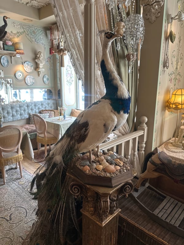 Ornate taxidermy and statuary observed in decorated Riga interior