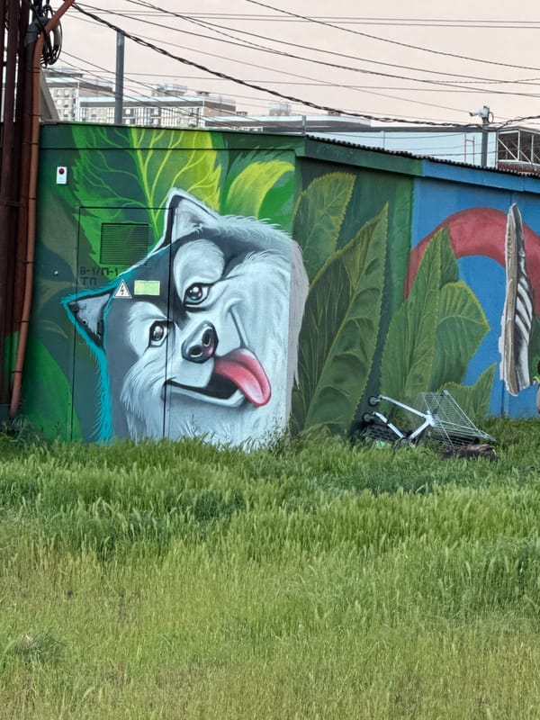 Street murals featuring dog and soccer player spotted in Krasnodar