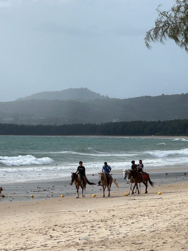 Beach horseback riding and swimming activity documented at coastal resort