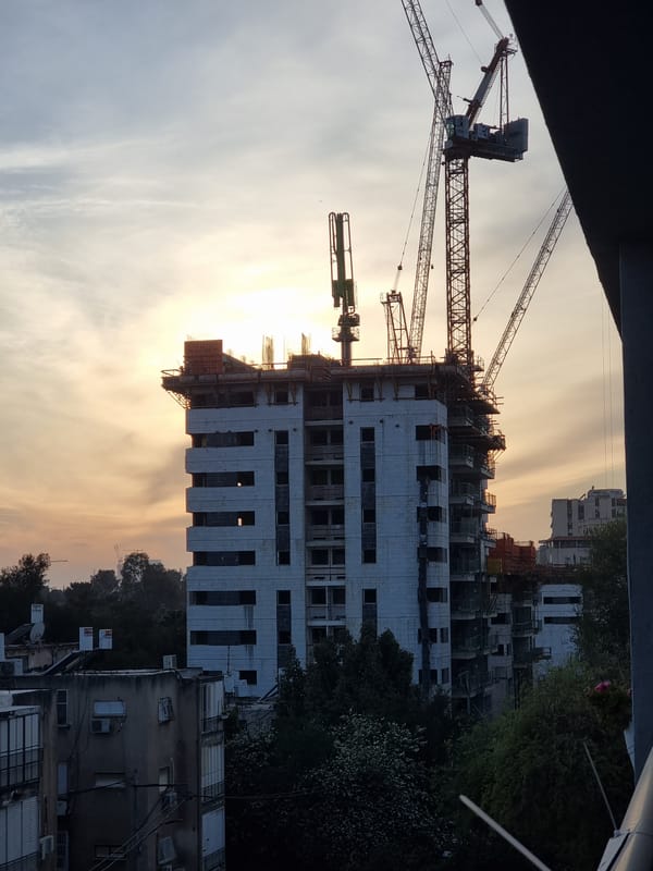 White-blossomed tree blooms in urban Ramat Gan