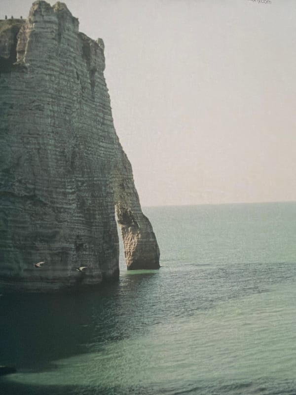 Eclectic personal photo dump: beaches, forests, and tropical fruit