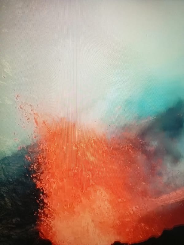 Random mix of digital imagery spanning nature, sports, and everyday objects.
