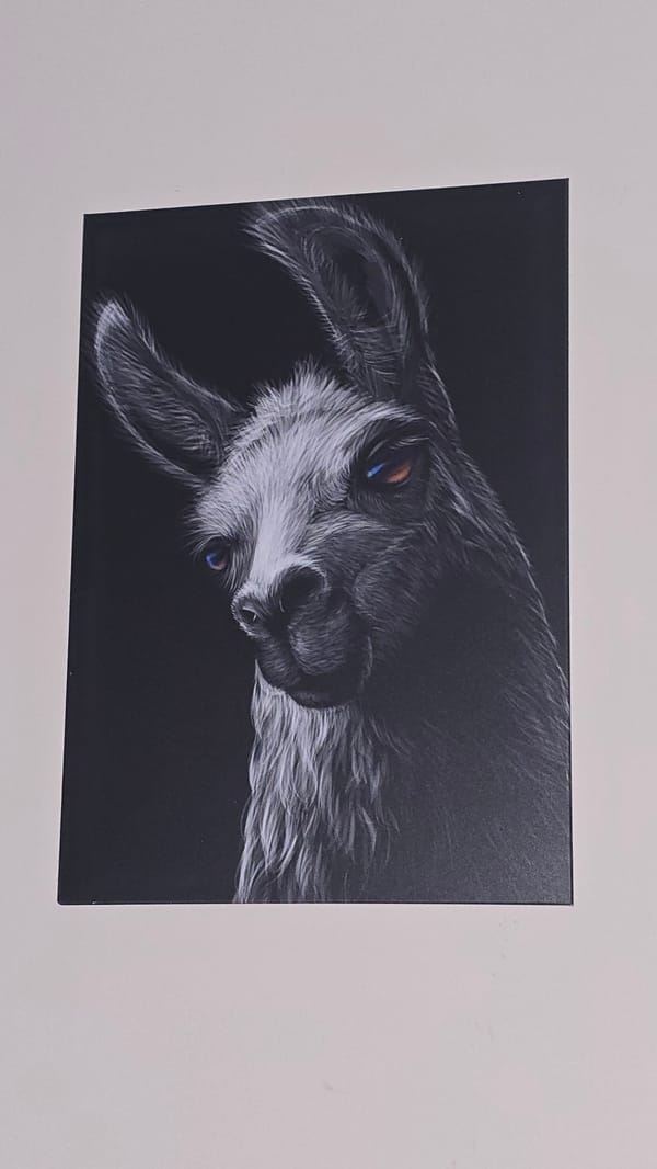 Dog portrait artwork spotted on indoor wall
