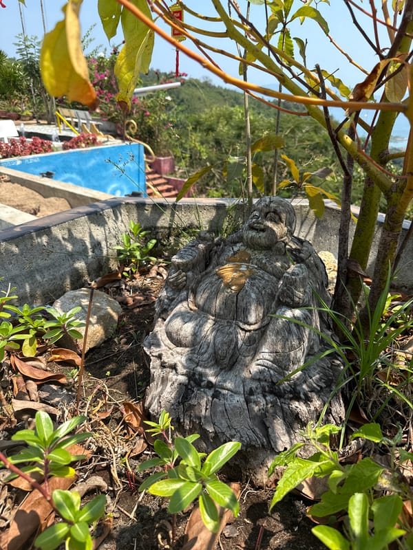Morning visit to Long Son Pagoda temple complex Nha Trang