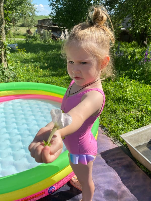 A lazy summer day in a Ukrainian village garden